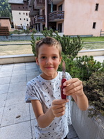 PXL 20230809 160543001